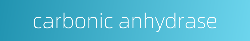 carbonic anhydrase的同义词