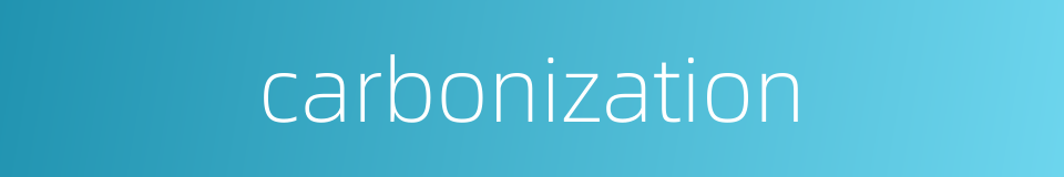 carbonization的同义词