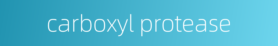 carboxyl protease的同义词
