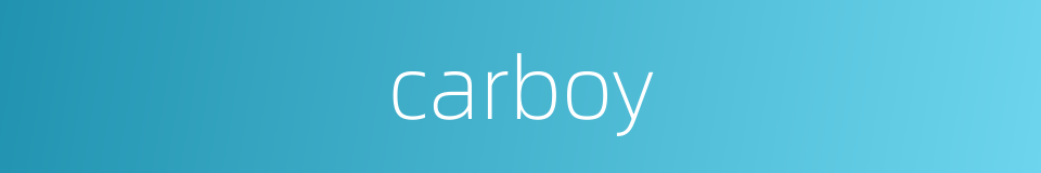 carboy的同义词