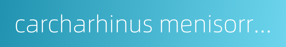 carcharhinus menisorrah的同义词