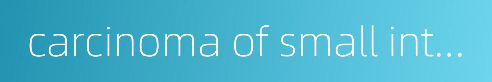 carcinoma of small intestine的同义词