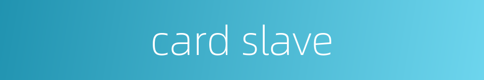 card slave的同义词