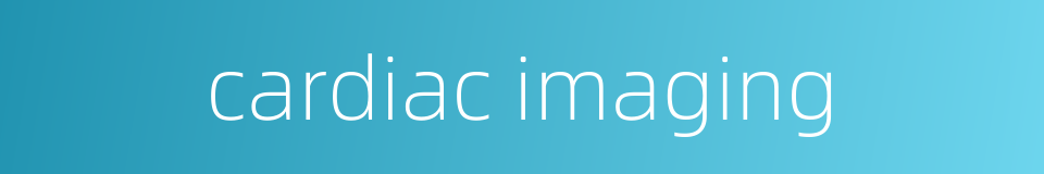 cardiac imaging的同义词