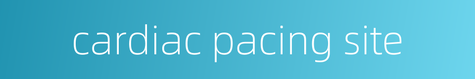 cardiac pacing site的同义词