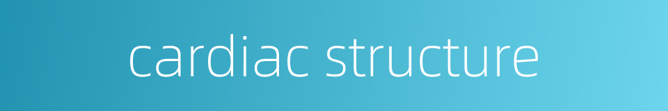 cardiac structure的同义词