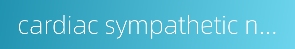 cardiac sympathetic nerve的同义词