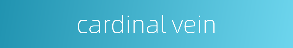 cardinal vein的同义词