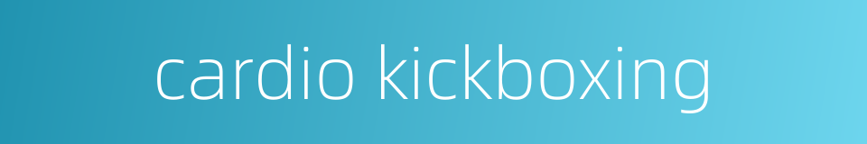 cardio kickboxing的同义词
