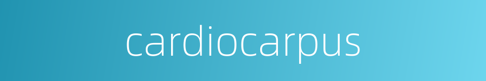 cardiocarpus的同义词