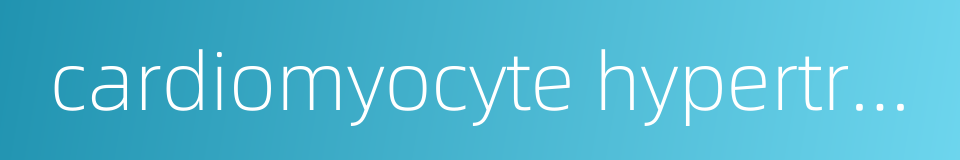 cardiomyocyte hypertrophy的同义词