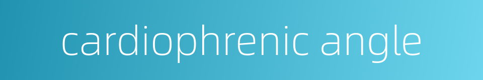cardiophrenic angle的同义词