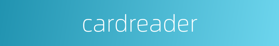 cardreader的同义词
