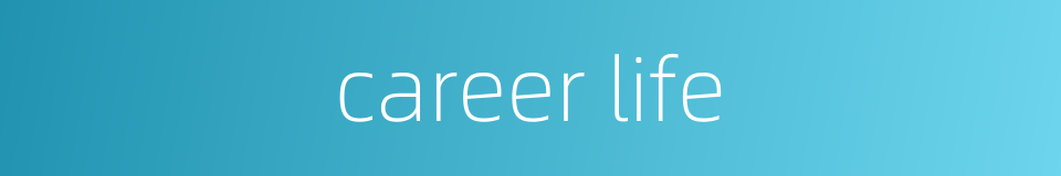 career life的同义词