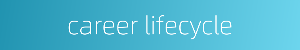 career lifecycle的同义词
