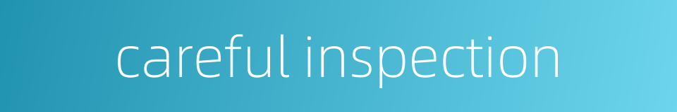 careful inspection的同义词