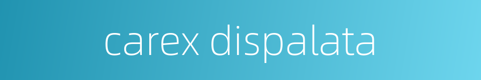 carex dispalata的同义词