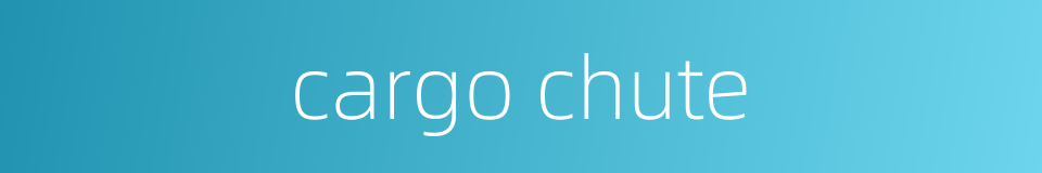 cargo chute的同义词