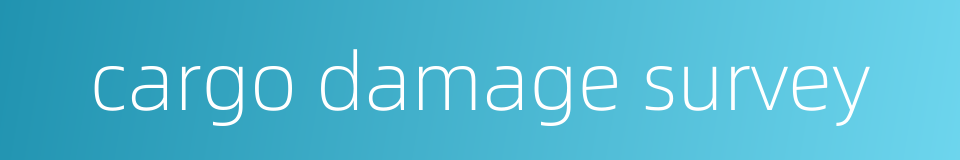 cargo damage survey的同义词