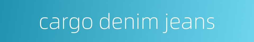 cargo denim jeans的同义词