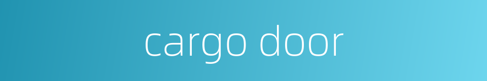 cargo door的同义词