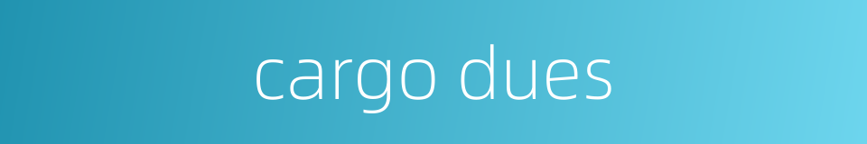 cargo dues的同义词