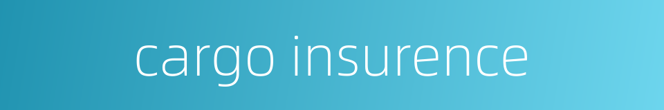 cargo insurence的同义词