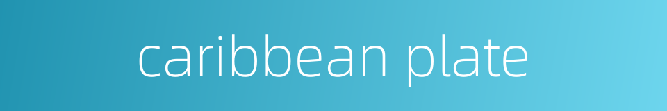 caribbean plate的同义词