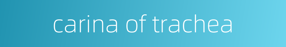 carina of trachea的同义词