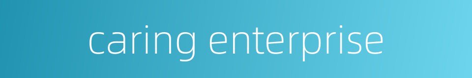 caring enterprise的同义词