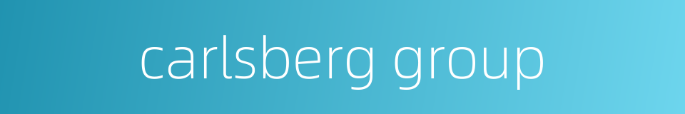 carlsberg group的同义词