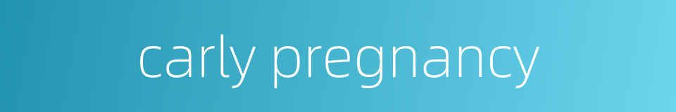 carly pregnancy的同义词