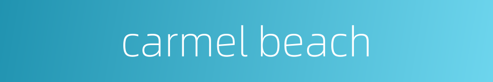 carmel beach的同义词