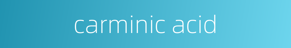 carminic acid的同义词
