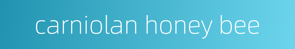 carniolan honey bee的同义词