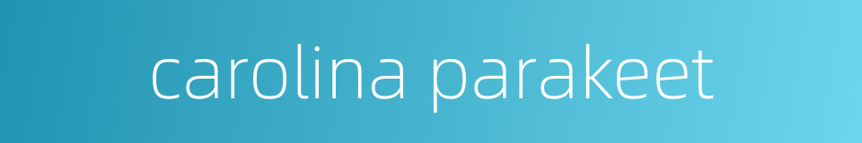 carolina parakeet的同义词