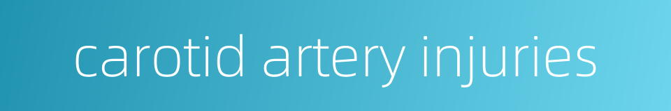 carotid artery injuries的同义词