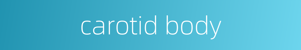 carotid body的同义词