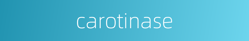 carotinase的同义词