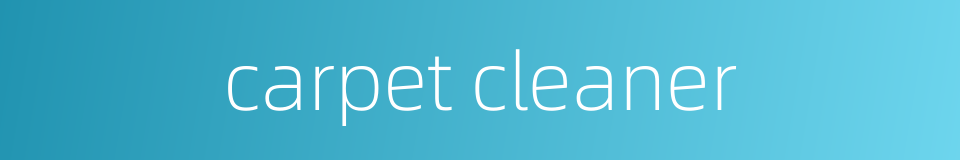 carpet cleaner的同义词