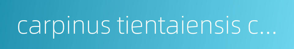 carpinus tientaiensis cheng的同义词
