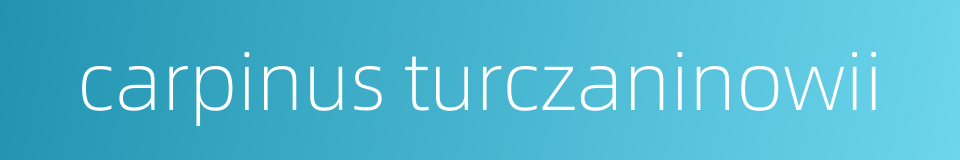 carpinus turczaninowii的同义词