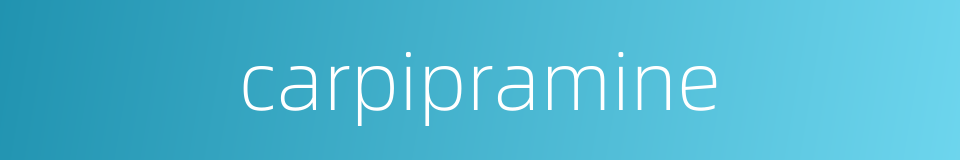 carpipramine的同义词