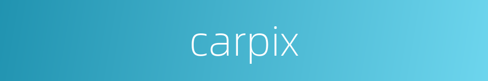 carpix的同义词