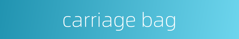 carriage bag的同义词