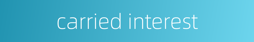 carried interest的同义词