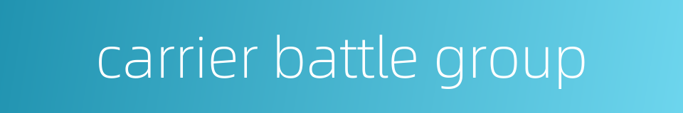 carrier battle group的同义词