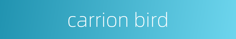 carrion bird的同义词