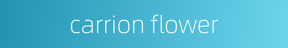 carrion flower的同义词