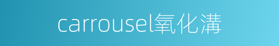 carrousel氧化溝的同義詞